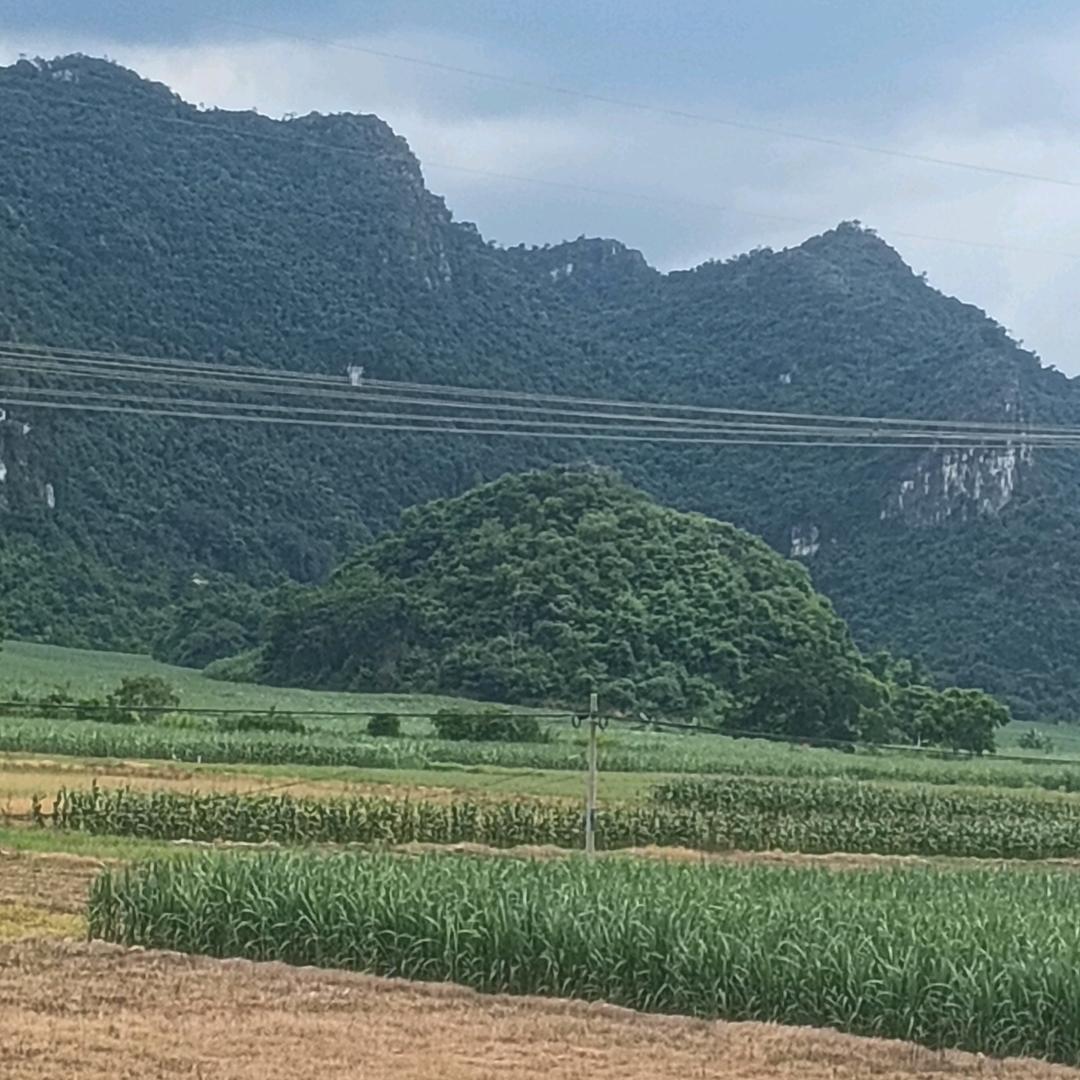 禅心弈棋