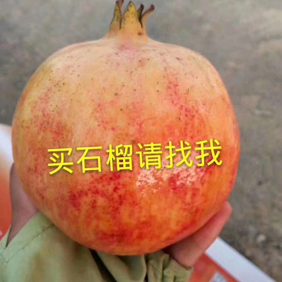 好运💖相宋🌹