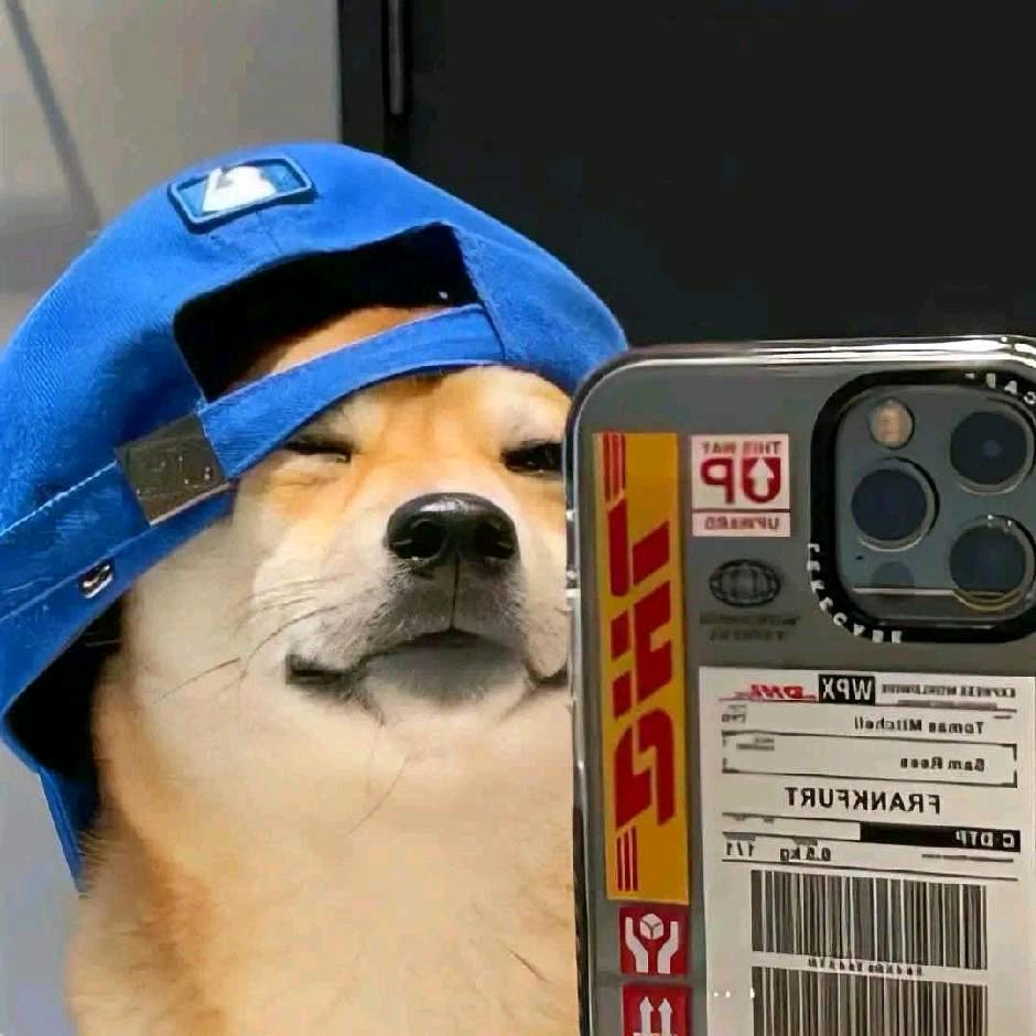 GG不会爆