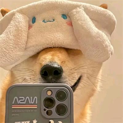 一起追剧吧