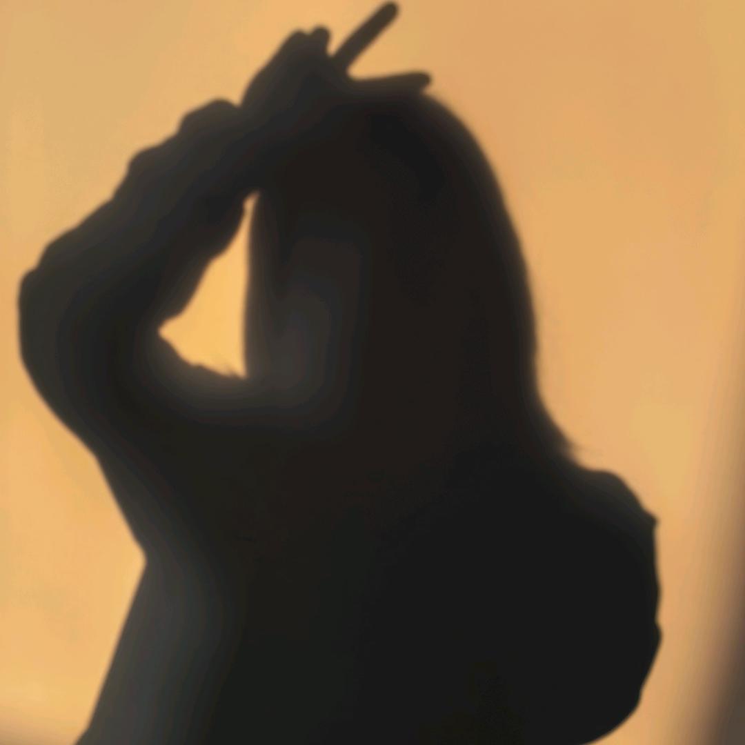 lisa阿姨不吃葱～