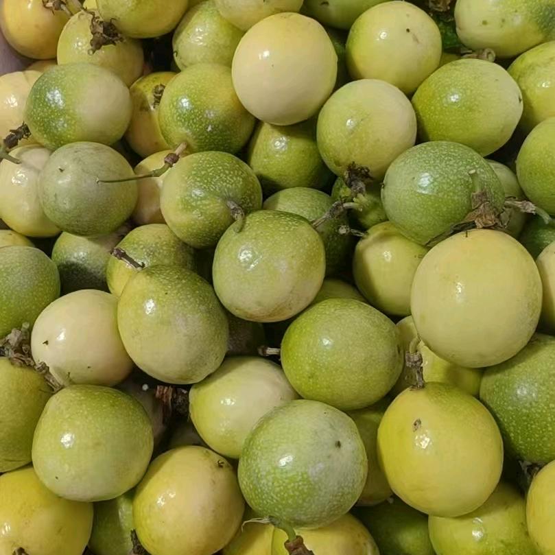 一心一意做水果