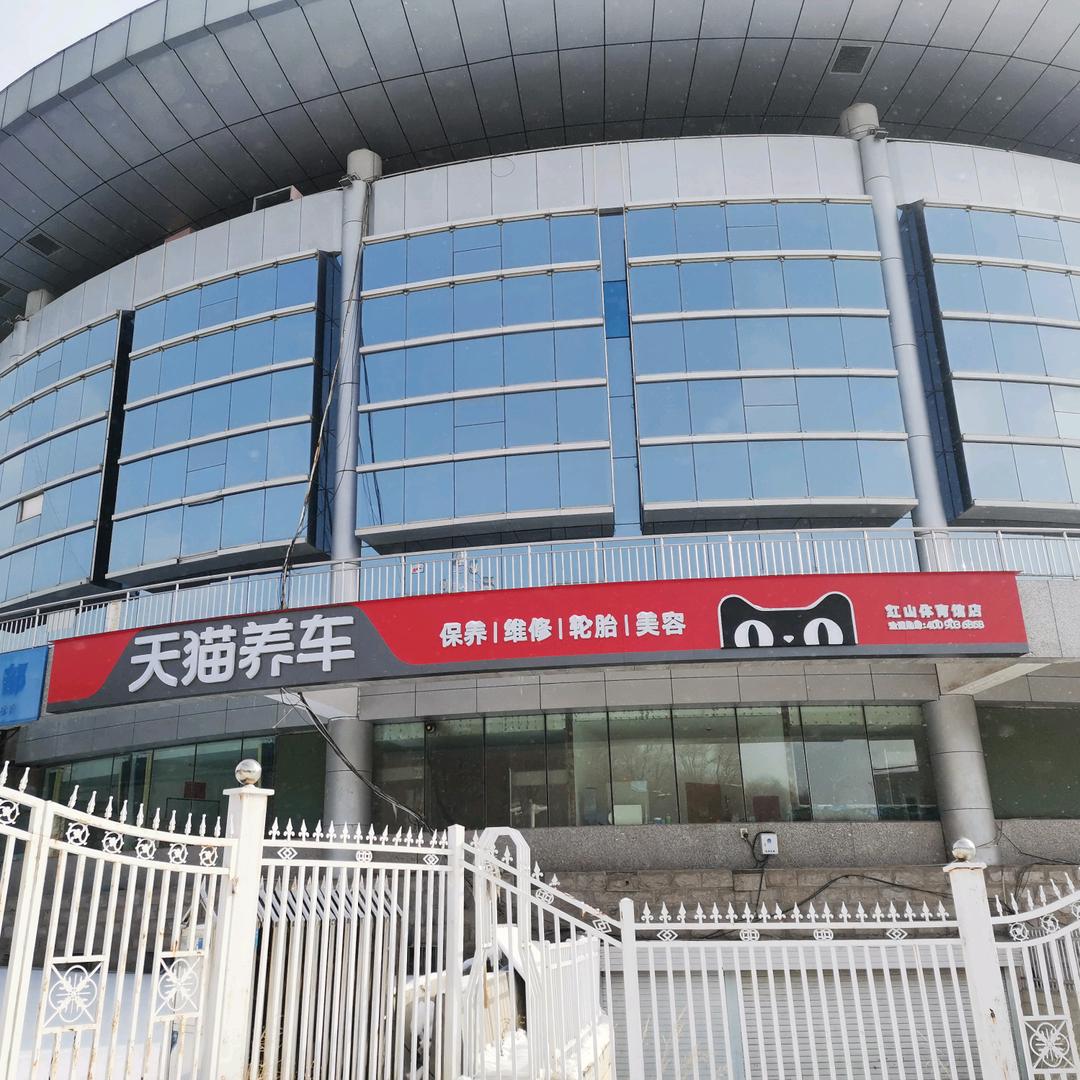 天猫养车红山辰杉