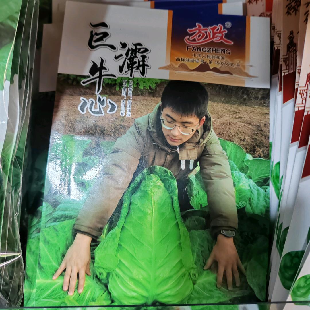 丰都小陶种苗
