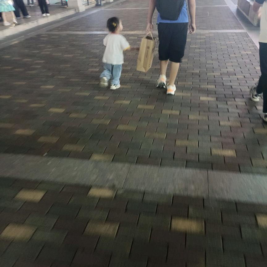 人生如梦。