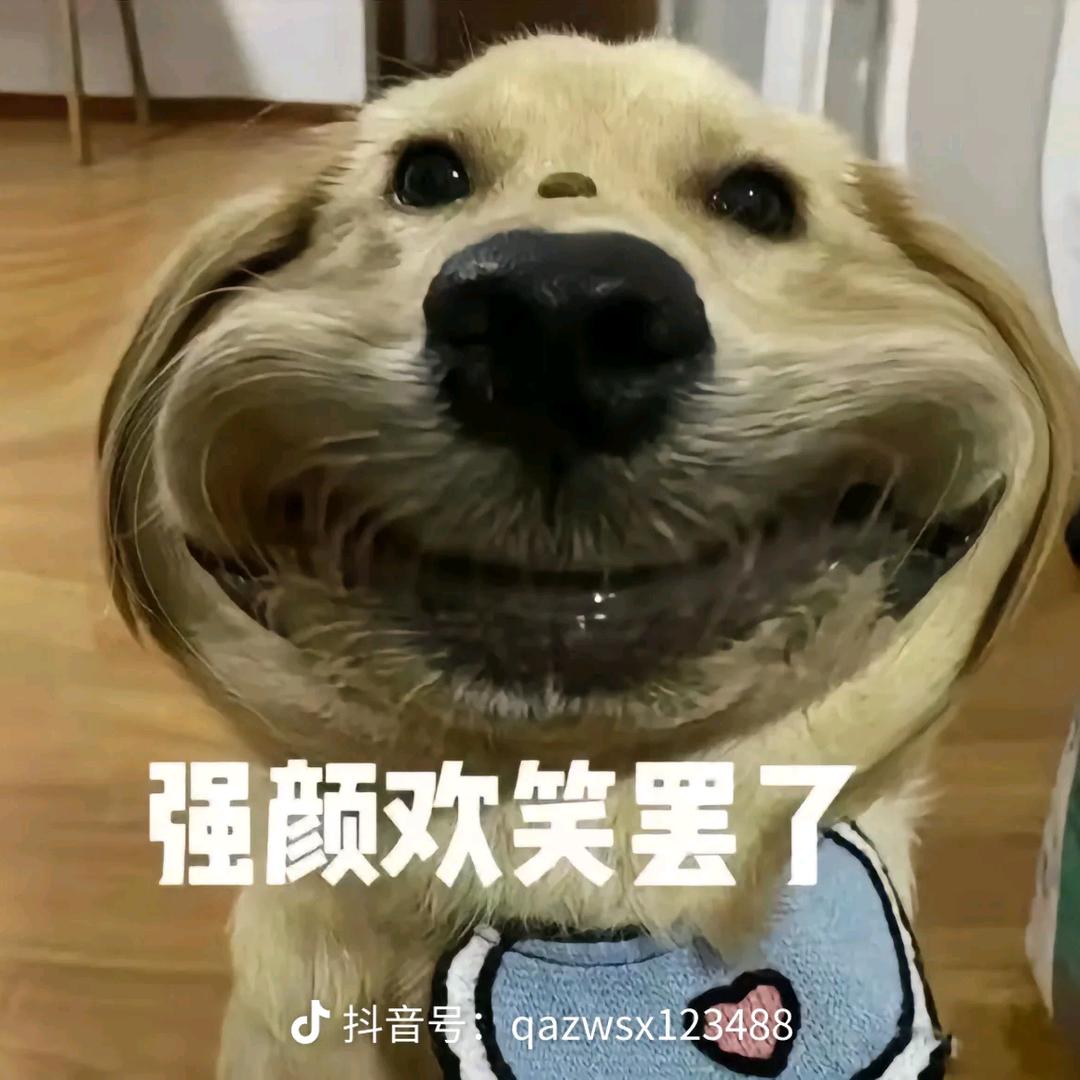就业艰难的大学牲