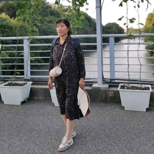 老高