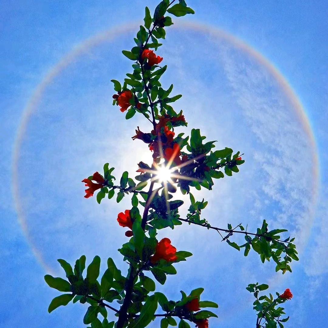 弘润商贸