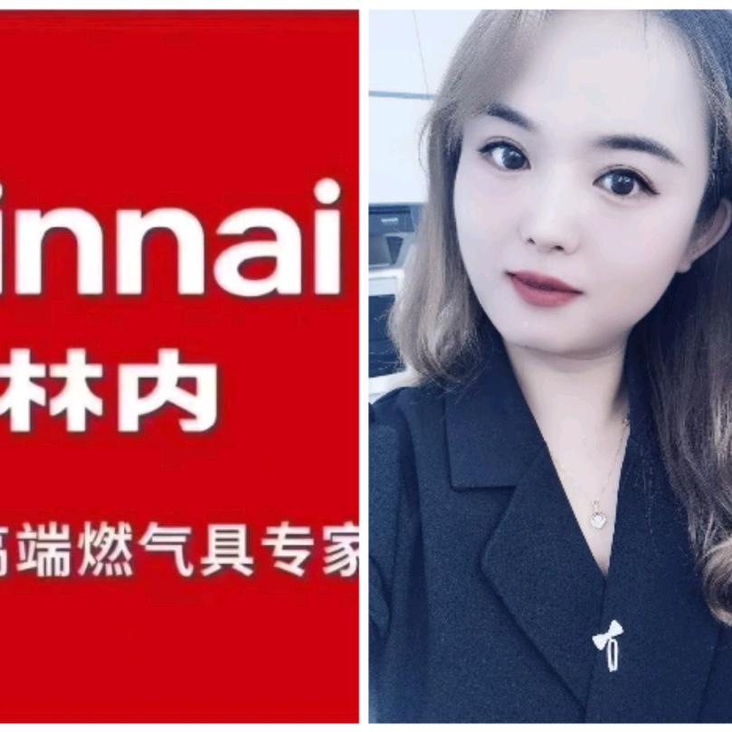 台儿庄林内燃气热水器