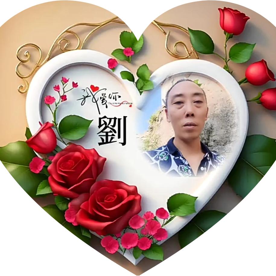 搞笑刘哥