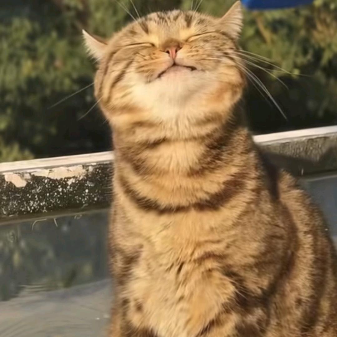 体弱多病的撸铁怪