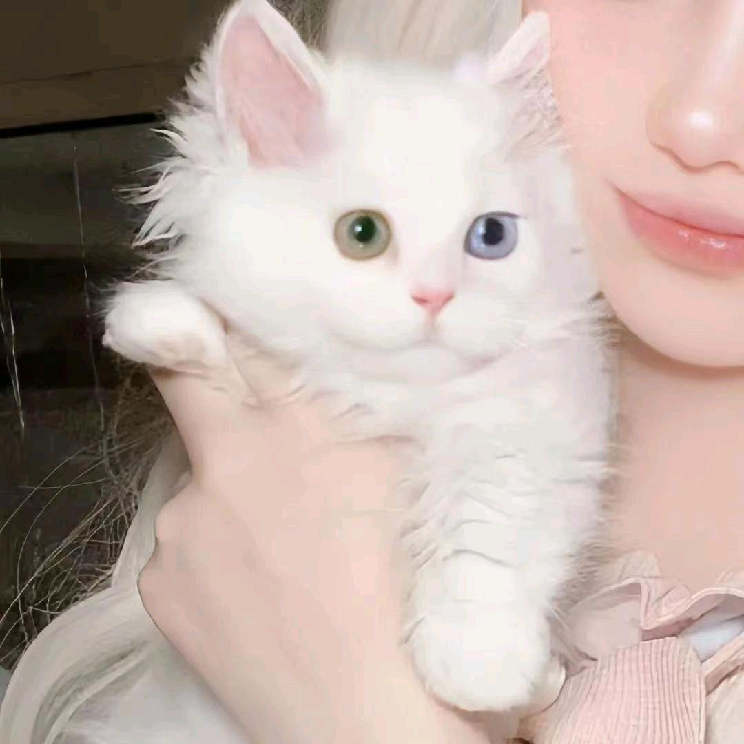 🌈Aa夜星
