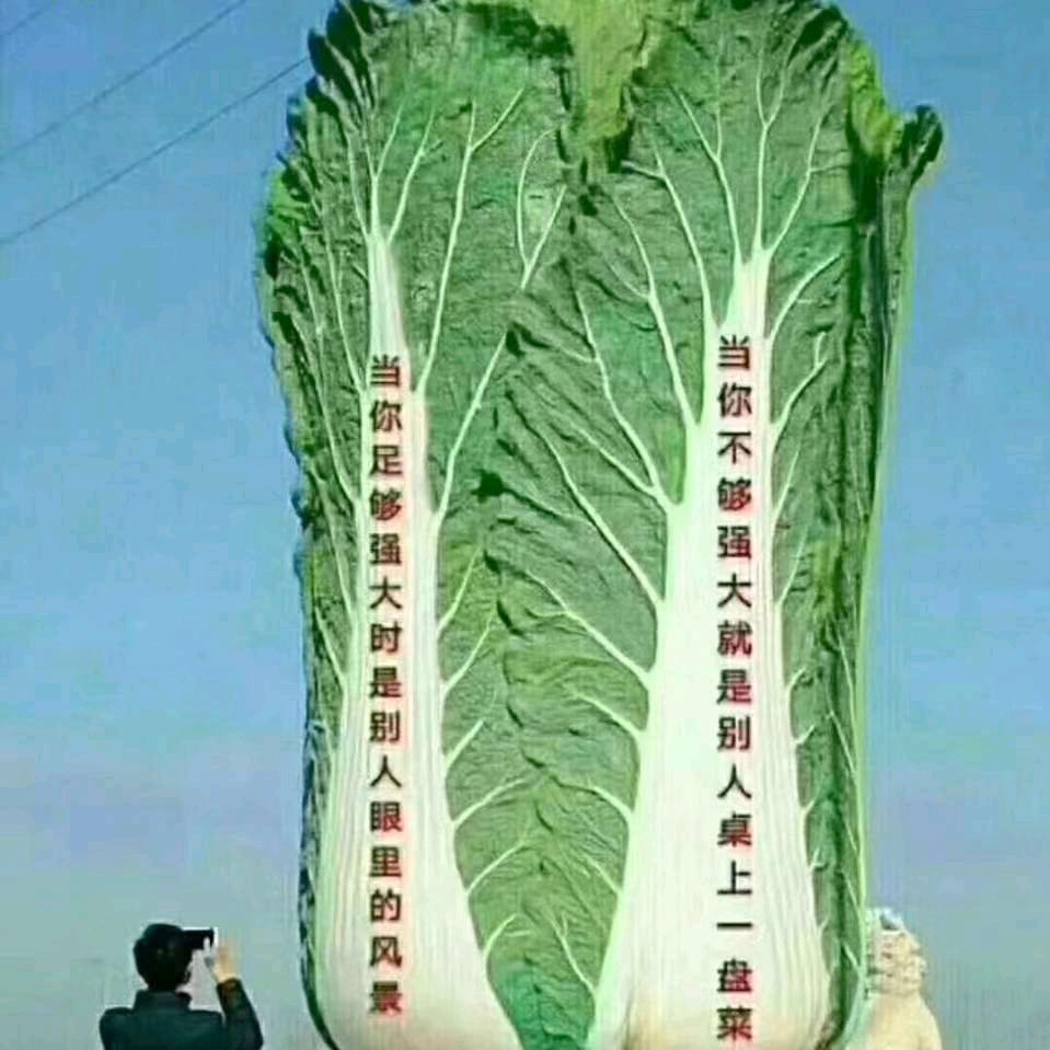 :加油