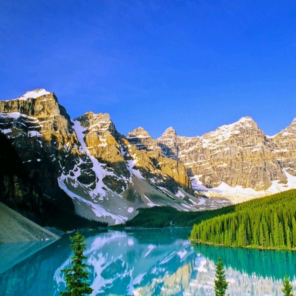 顺其自然为你而己