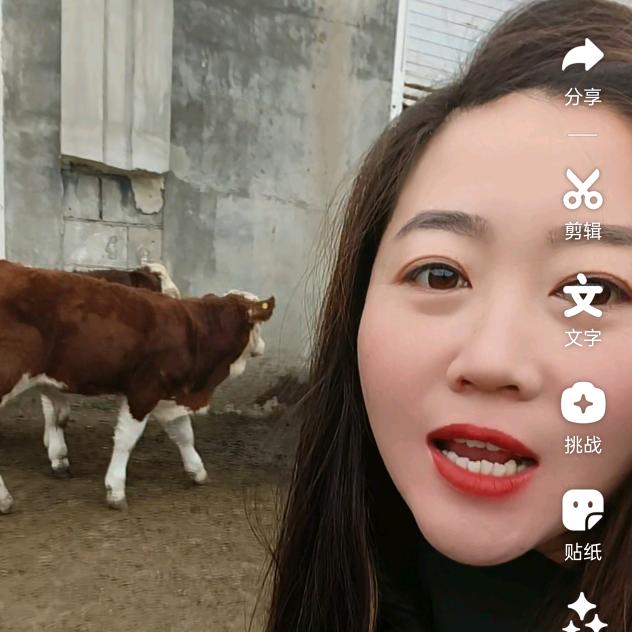 吉林牛赵晓彤
