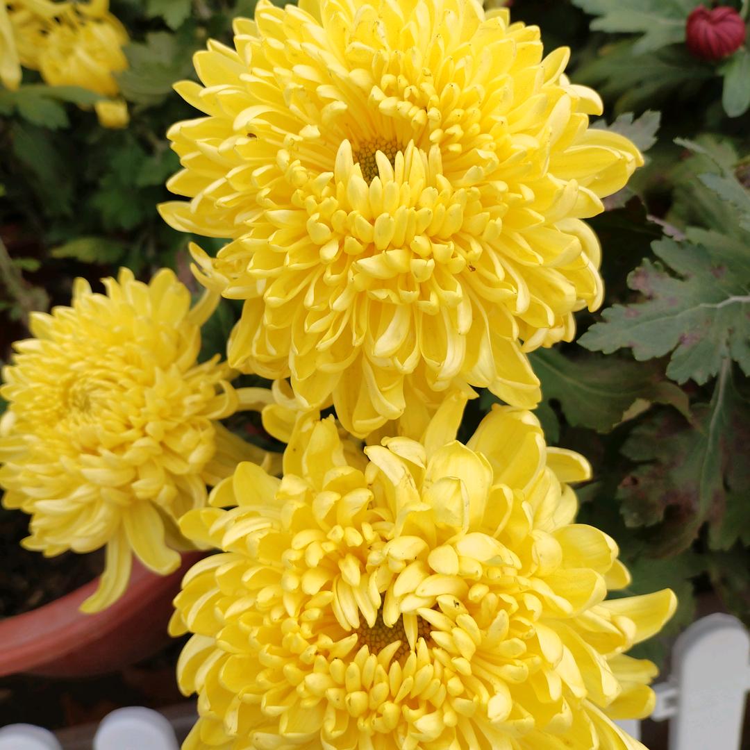 睢县美肤堂美容美体店官方号