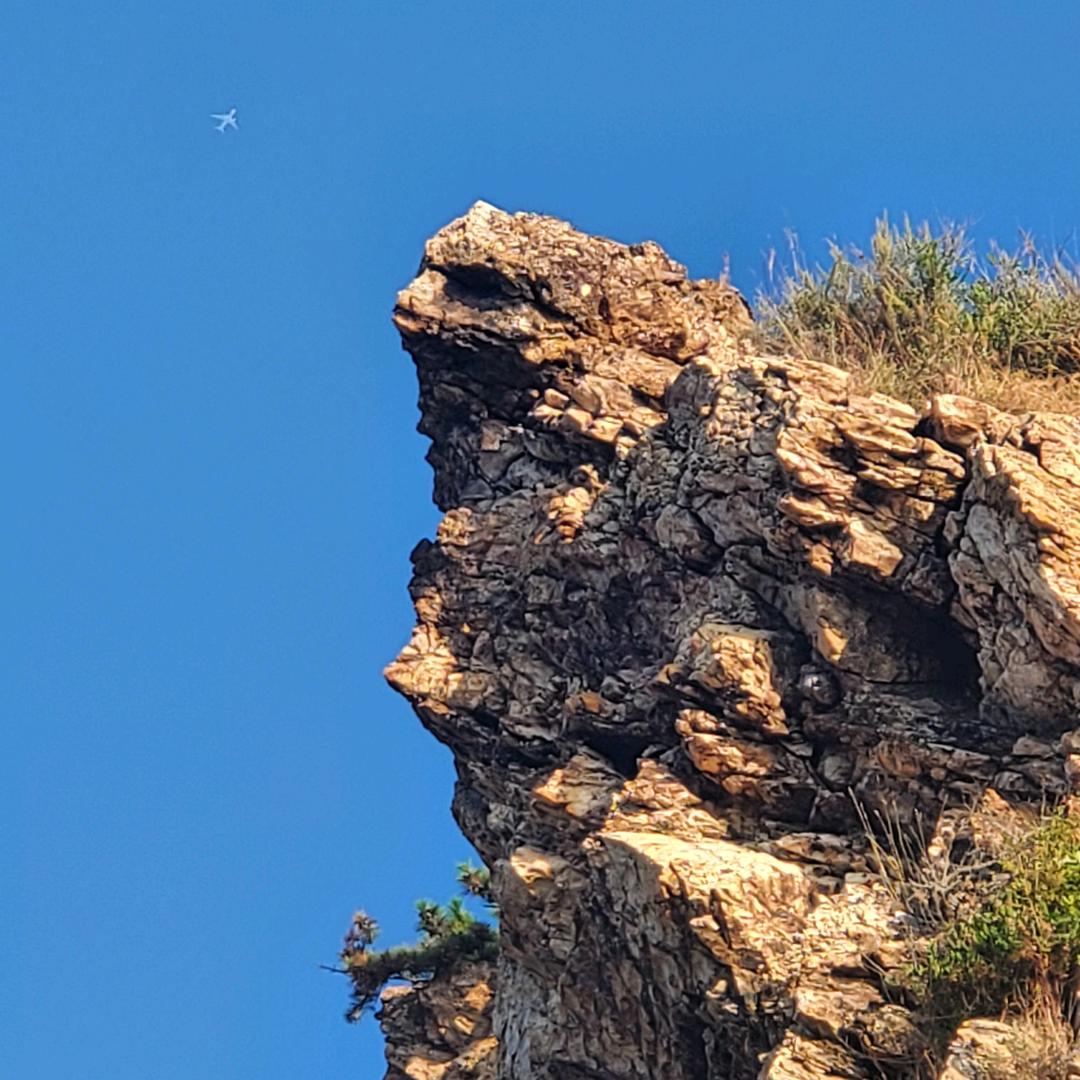 大呲花工具维修甄选阁