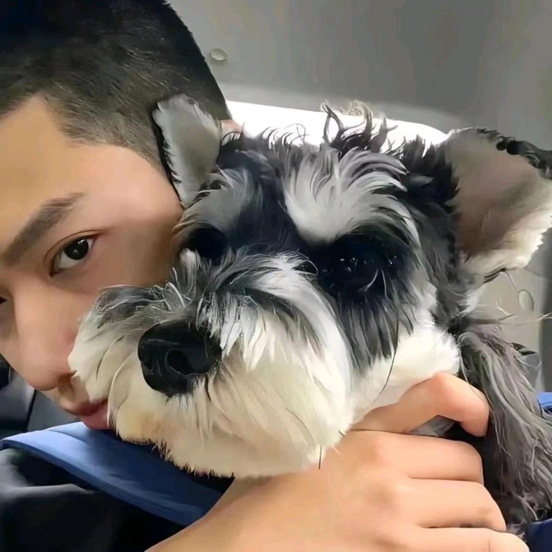 你的韩洋🧜