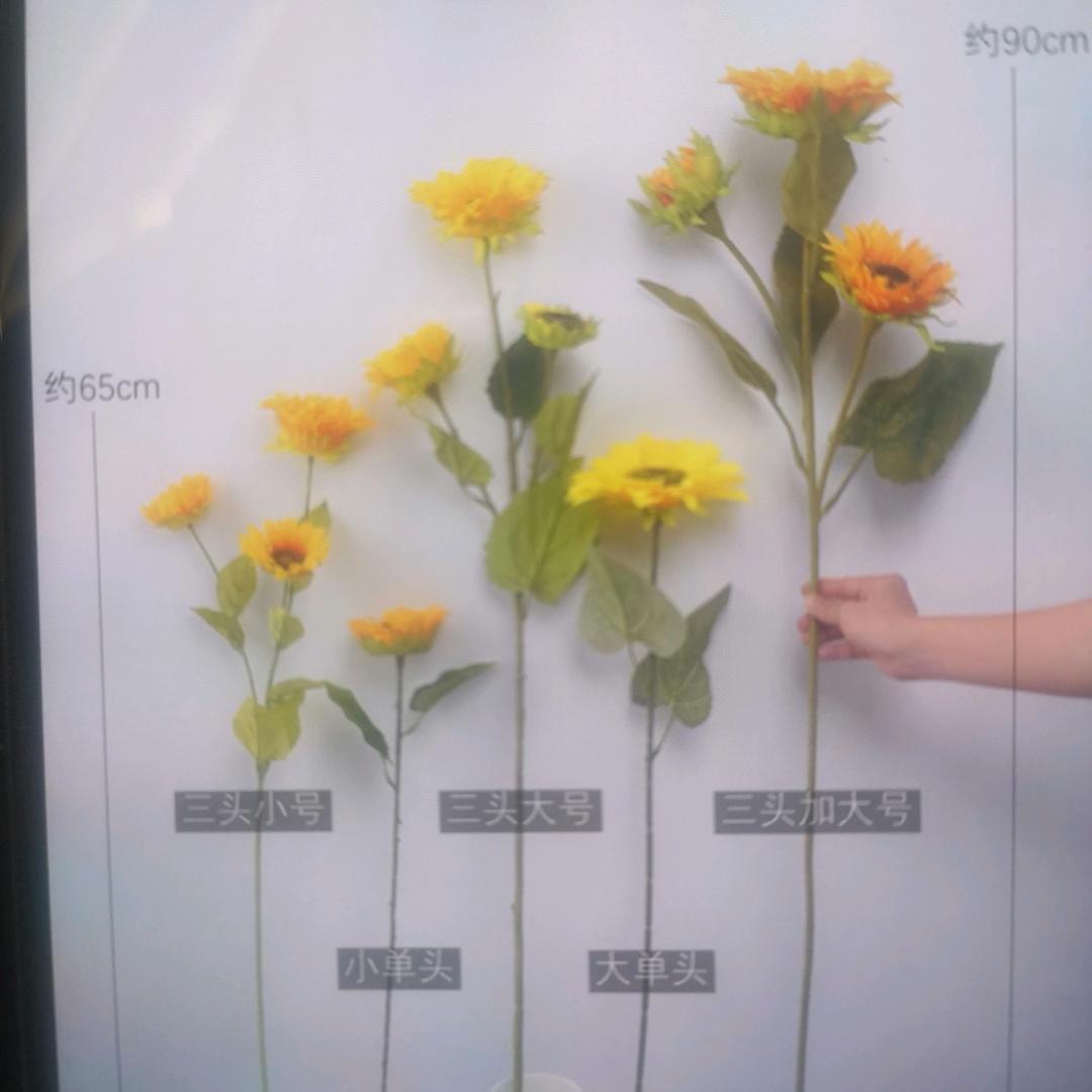 👍👍👍👏👏👏