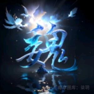 贵州华哥