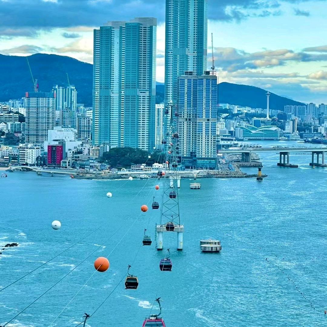 杨老师韩流之巅