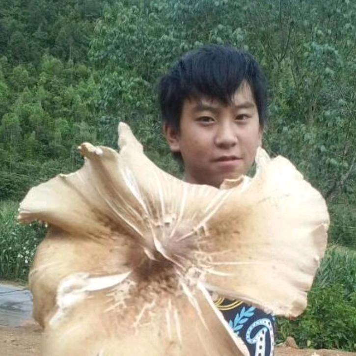 怨风离愁人