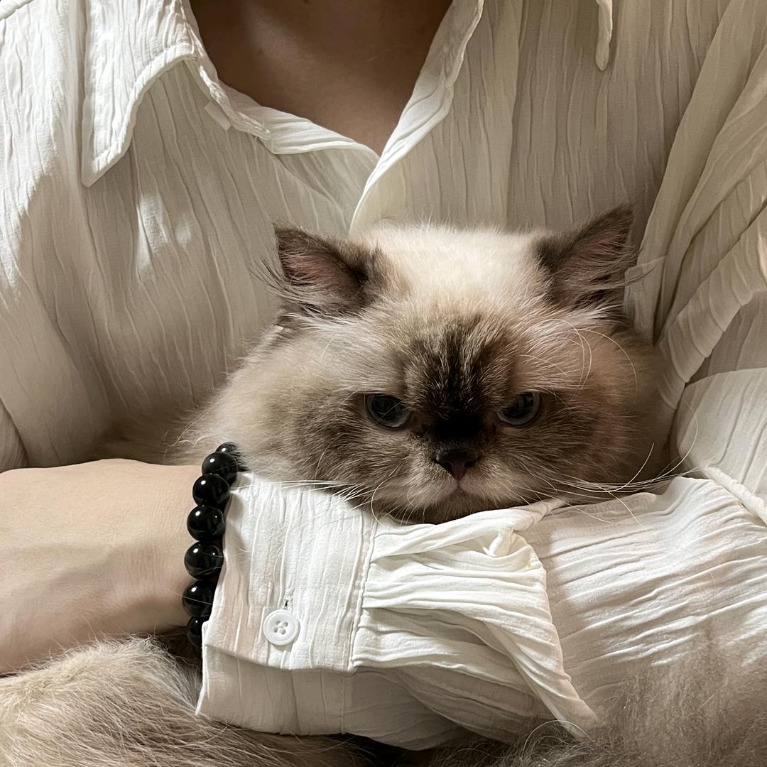 怎么都吃不饱