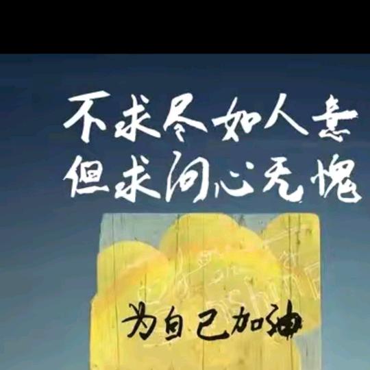 大梦想家³¹²