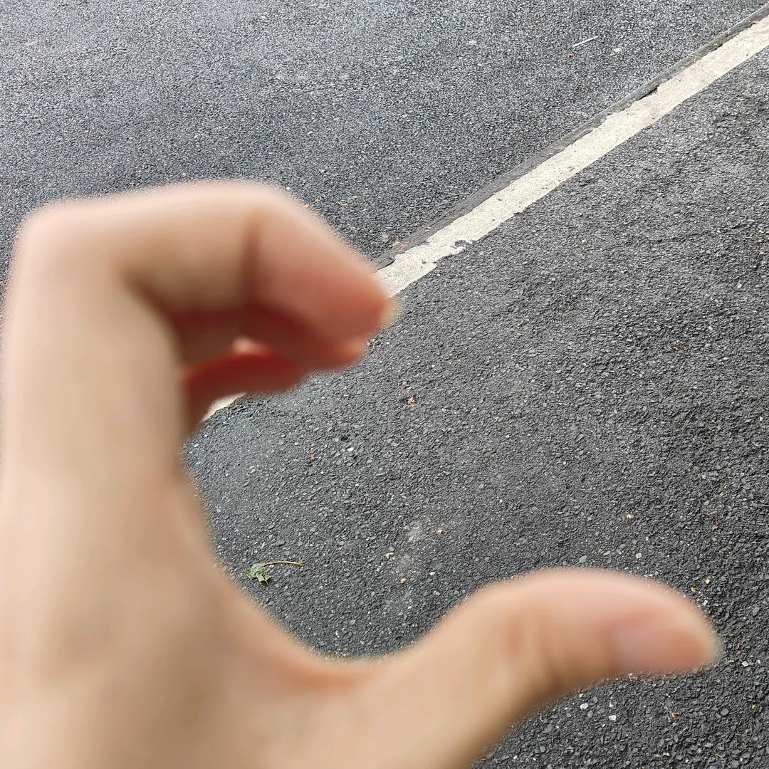 爱吃地锅鸡贴饼的云雷头像