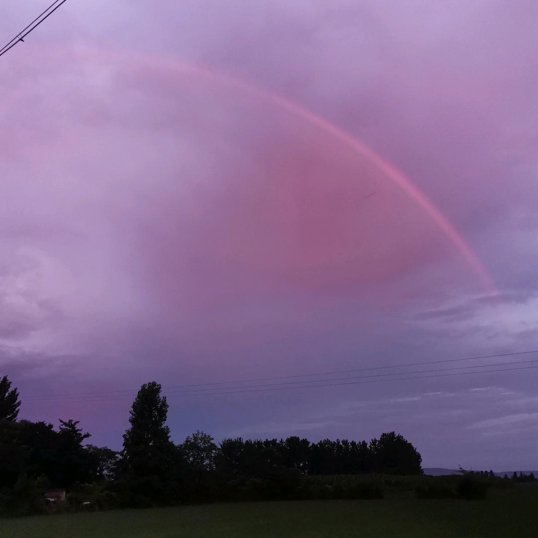 来与不来我都在等你