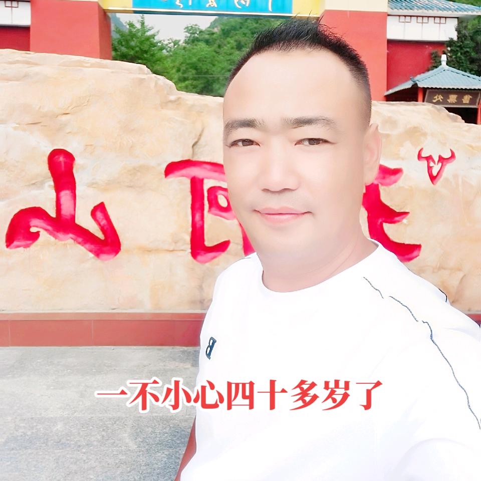 聊城鹏鹏哥（郑麦136）