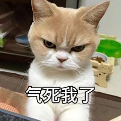 奇瑞小赵