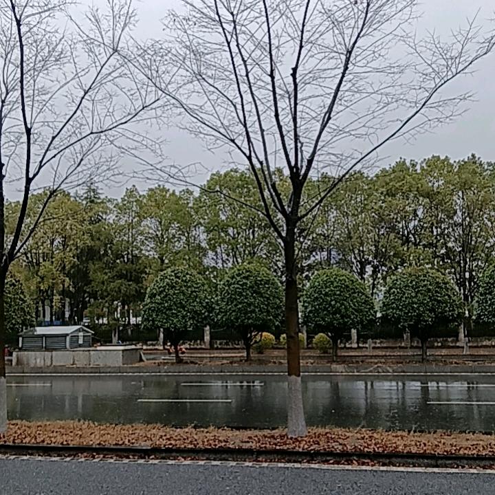 一介村姑