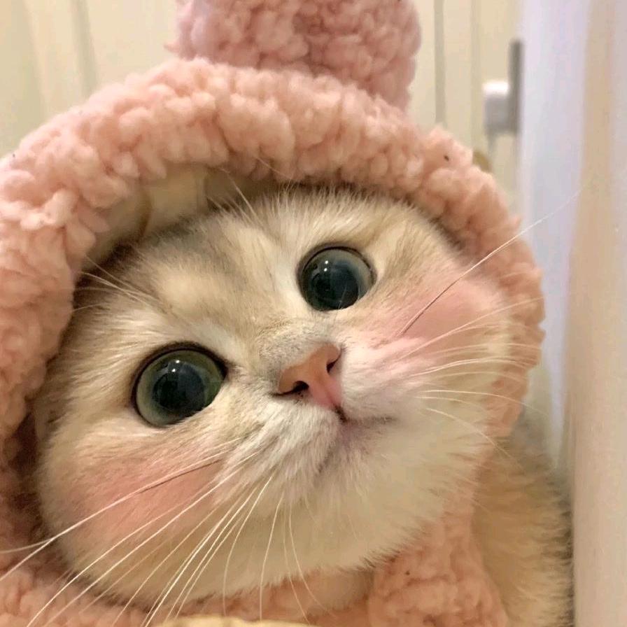 素贞妹子