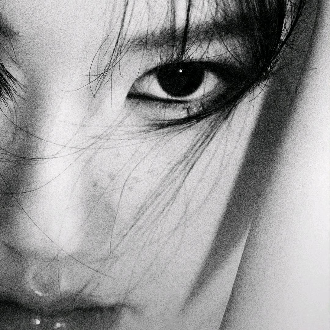 娇而不傲的猫🌈ོ