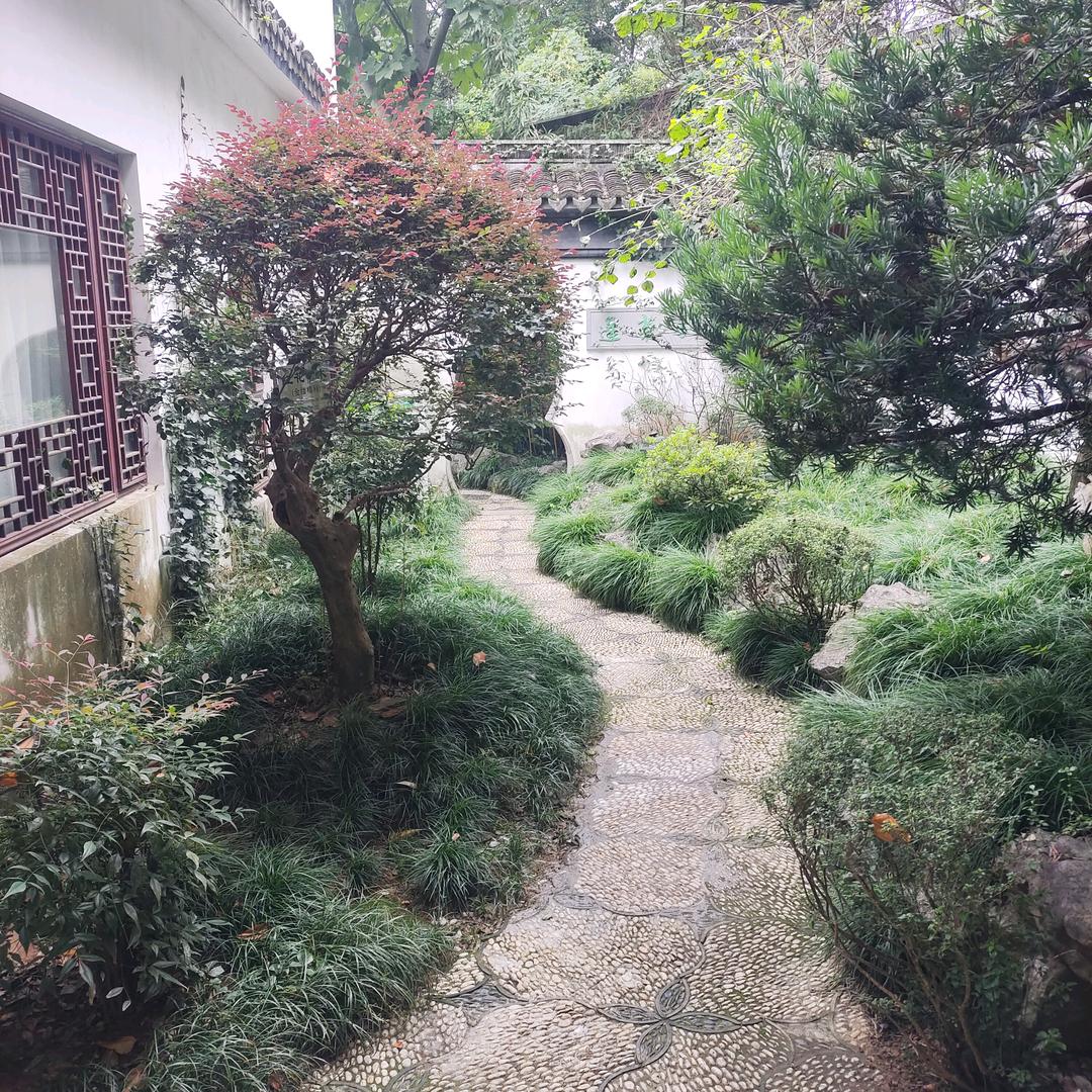 青春的鸣奏