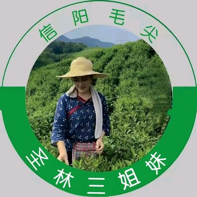 圣林三姐妹~信阳毛尖