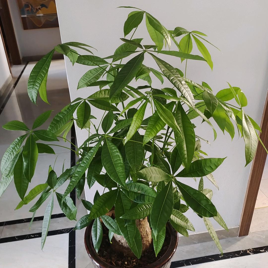 人生不能重来，但是可以改写