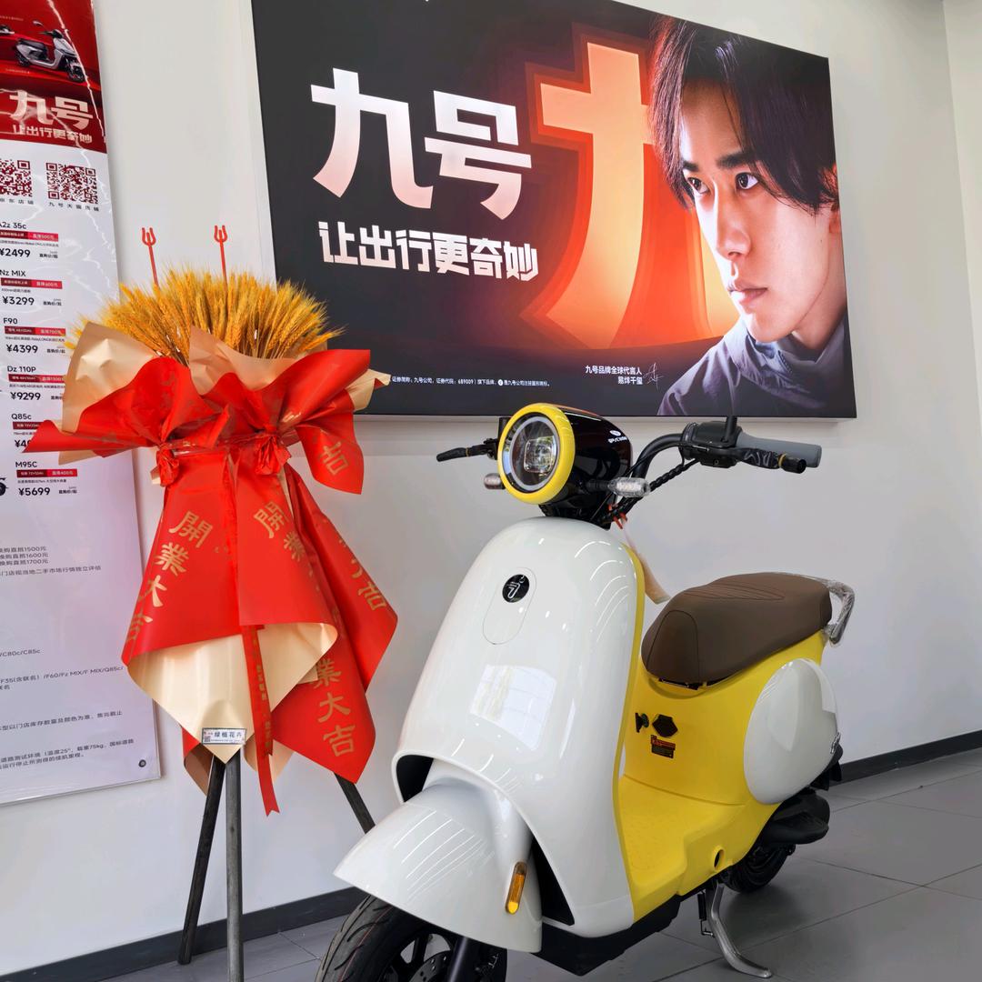 九号电动（华容楚藩大道九号店）