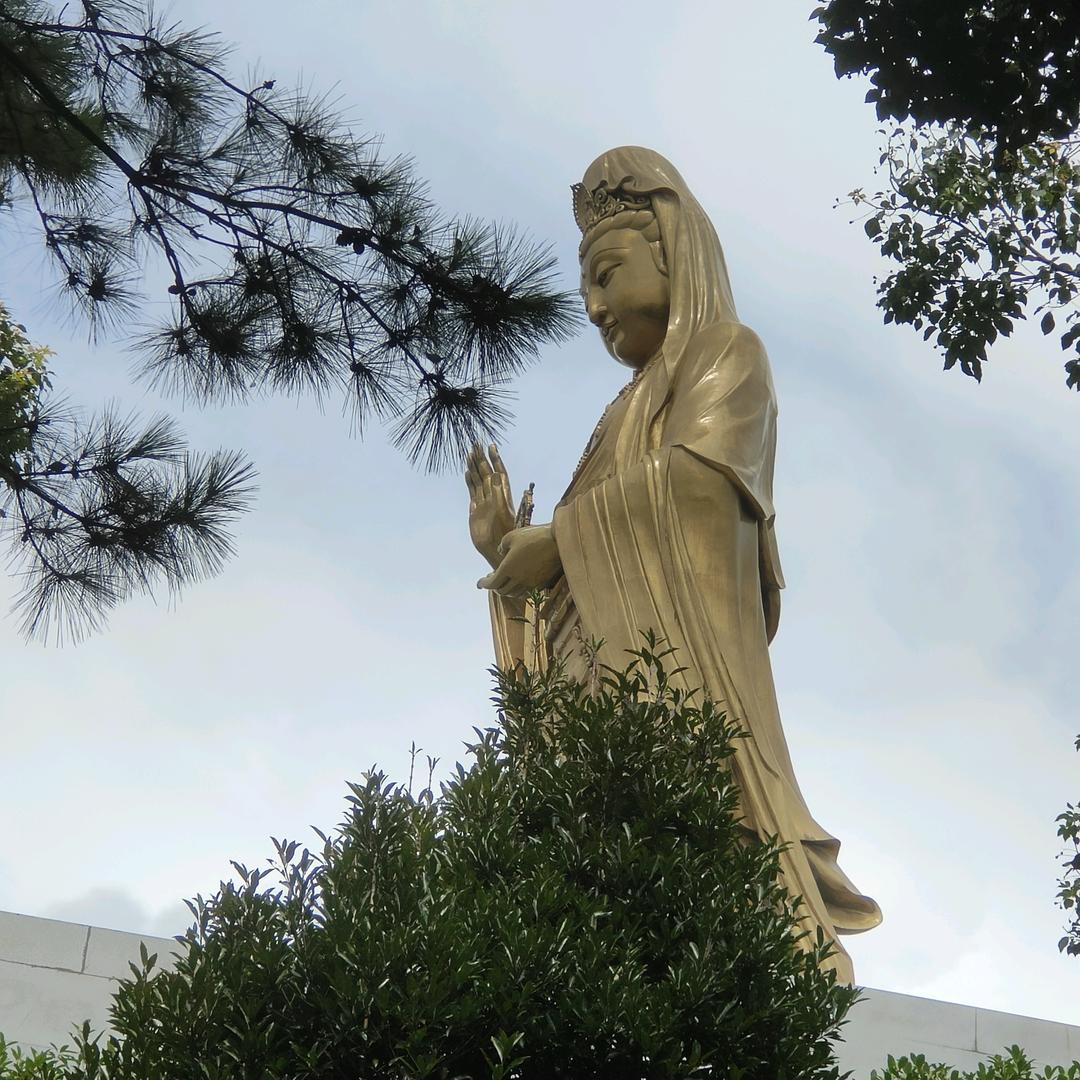 仁泉(请不要连续点赞🙏)