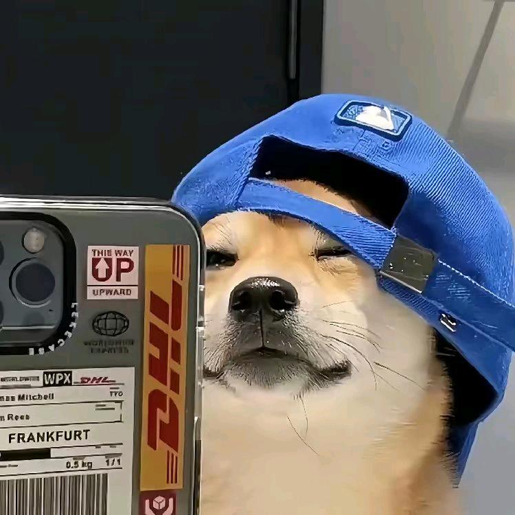 愙歖
