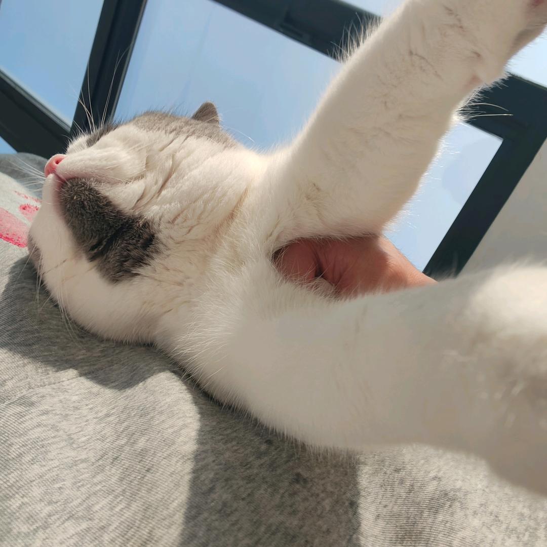 淮都