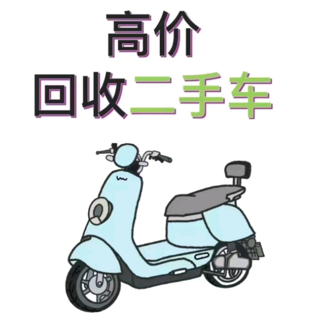 郴州云顶小何二手电动车