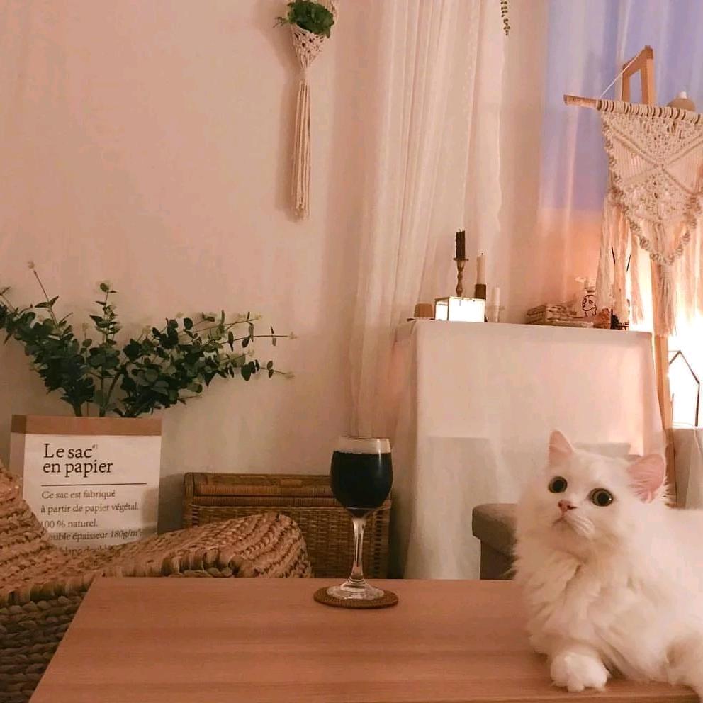 糖🍬糖