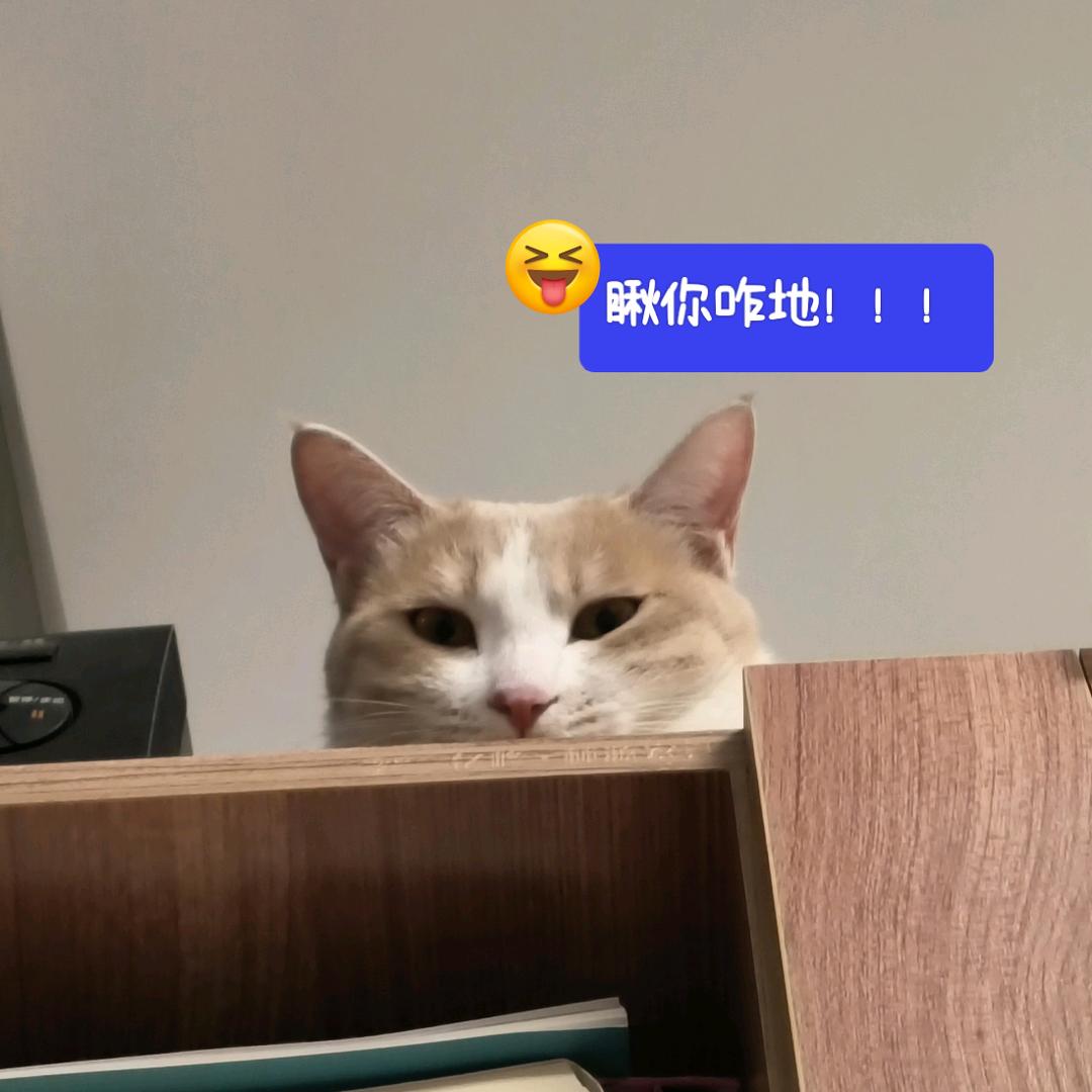 蓝多野