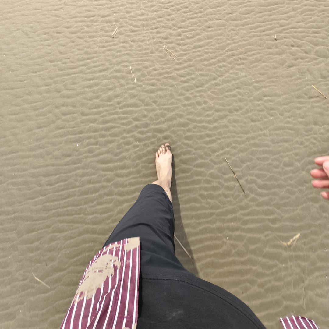 话多多