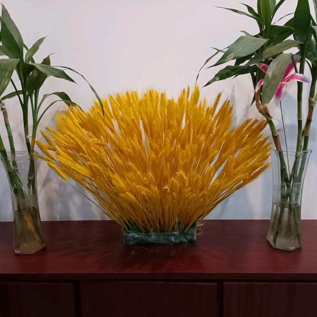 靑青
