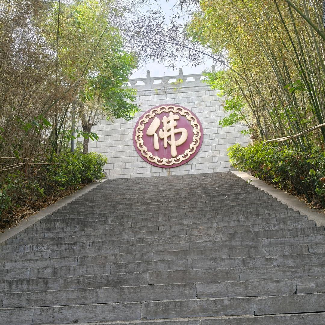 释灵善