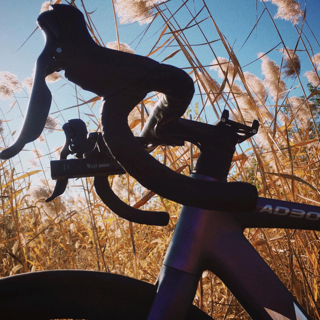 王 嘻 哈.🚵