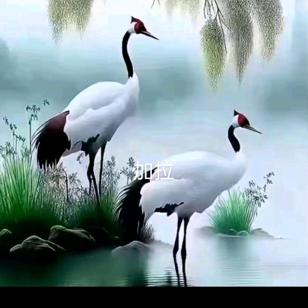 1376